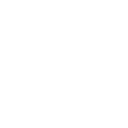 VB100 100 keer